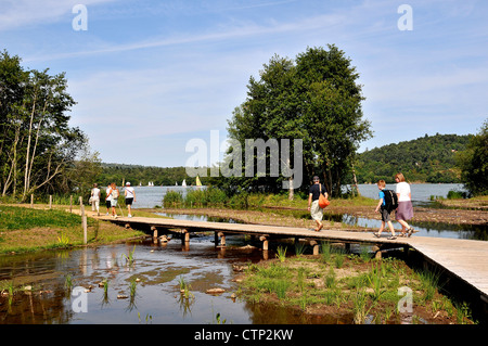 Aydat See im Herzen des Regionalen Parks von volcnoes Auvergne, Puy-de-Dôme, Auvergne, Massif-Central, Frankreich Stockfoto