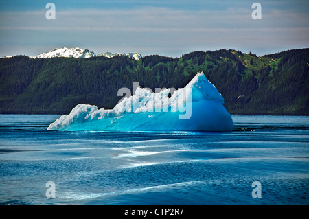 Großen Eisbergs schwebt in Endicott Arm in Tracy Arm-Fords Terror Wildnis in Southeast Alaska, Sommer Stockfoto