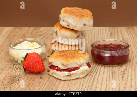 Frisch gebackene Scones mit Clotted Cream und Erdbeermarmelade - Studio mit einem einfarbigen Hintergrund gedreht Stockfoto