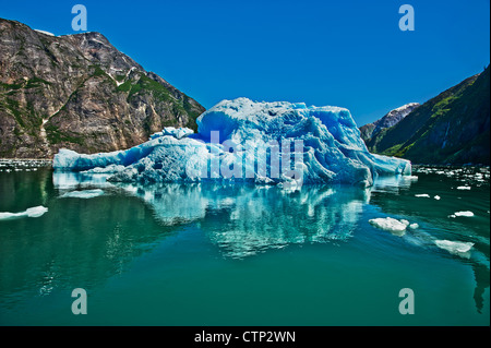 Großen Eisbergs schwebt in Endicott Arm in Tracy Arm-Fords Terror Wildnis in Southeast Alaska, Sommer Stockfoto