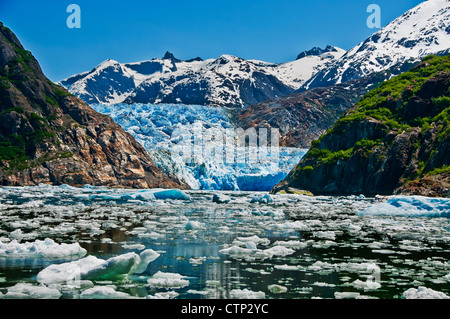 Sommer-Eisberge schwimmen vor South Sawyer Gletscher in Alaska Tracy Arm, Tracy Arm-Fords Terror Wildnis, Souhteast Stockfoto