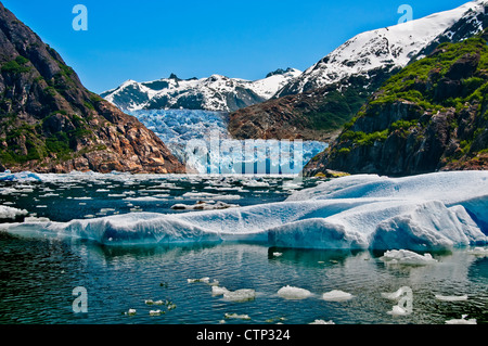 Sommer-Eisberge schwimmen vor South Sawyer Gletscher in Alaska Tracy Arm, Tracy Arm-Fords Terror Wildnis, Souhteast Stockfoto