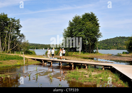 Aydat See im Herzen des Regionalen Parks von volcnoes Auvergne, Puy-de-Dôme, Auvergne, Massif-Central, Frankreich Stockfoto