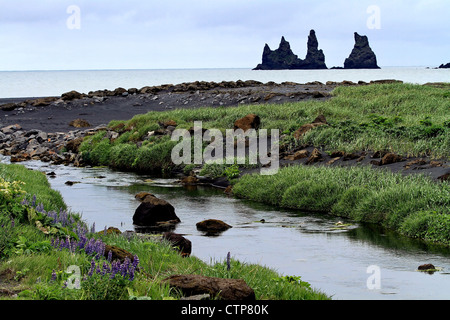 Die Reynisdrangar-Meer-Stacks in der Nähe von Vik in der südlichen Küste von Island, Southern Island Stockfoto