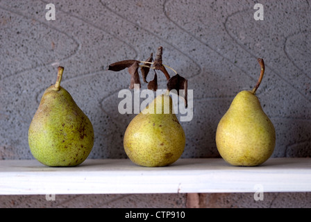 Eine Grafik der drei Guyot Birnen auf einem Regal gegen einen grauen strukturierten Hintergrund Stockfoto