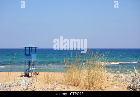 Blick auf den Ozean durch das Seegras am Strand - geringe Schärfentiefe mit dem Schwerpunkt auf dem Seegras wächst erschossen Stockfoto