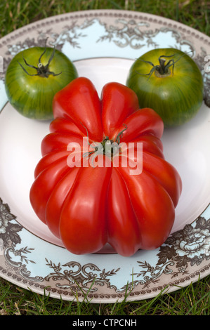 Riesige rosa Rindfleisch (Zapoteken plissiert) und Green Zebra Tomaten auf Teller Stockfoto