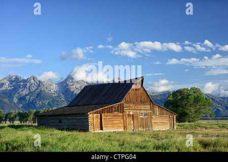 Süden Mormone Zeile Scheunen, Grand-Teton-Nationalpark, Wyoming, USA Stockfoto