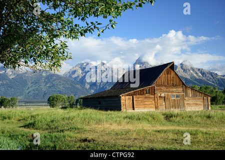 Süden Mormone Zeile Scheunen, Grand-Teton-Nationalpark, Wyoming, USA Stockfoto