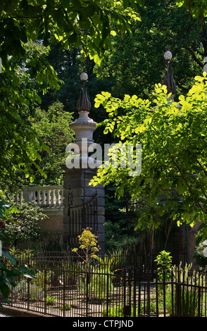 In den 1545 gegründeten Botanischen Gärten in Padua, Italien (Orto Botanico di Padova) befinden sich in den Beeten mit Steinrandbeeten verschiedene Pflanzenfamilien Stockfoto