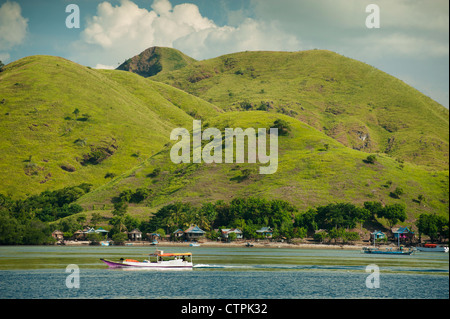 Ein Blick auf Rinca Island, einer der wenigen, die beherbergt den berühmten Komodo Drachen und befindet sich in East Nusa Tenggara, Indonesien. Stockfoto