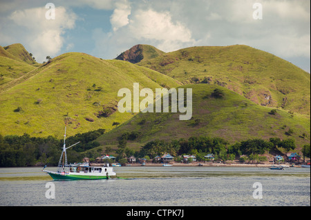 Ein Blick auf Rinca Island, einer der wenigen, die beherbergt den berühmten Komodo Drachen und befindet sich in East Nusa Tenggara, Indonesien. Stockfoto