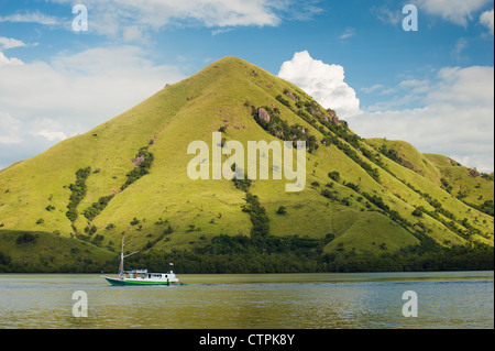 Ein Blick auf Rinca Island, einer der wenigen, die beherbergt den berühmten Komodo Drachen und befindet sich in East Nusa Tenggara, Indonesien. Stockfoto