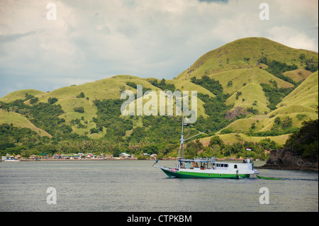 Ein Blick auf Rinca Island, einer der wenigen, die beherbergt den berühmten Komodo Drachen und befindet sich in East Nusa Tenggara, Indonesien. Stockfoto