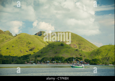 Ein Blick auf Rinca Island, einer der wenigen, die beherbergt den berühmten Komodo Drachen und befindet sich in East Nusa Tenggara, Indonesien. Stockfoto