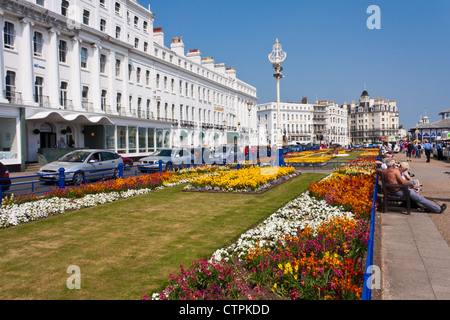 Blütenpracht auf der Promenade in Eastbourne, ein Urlaubsziel der englischen Küste. England, GB, UK. Stockfoto