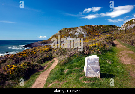 Stein Wegweiser auf dem Küstenpfad von Wales die Gower Halbinsel Gower, Wales. Stockfoto