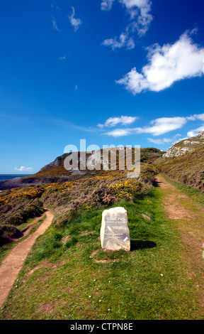 Stein Wegweiser auf dem Küstenpfad von Wales die Gower Halbinsel Gower, Wales. Stockfoto