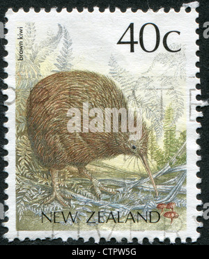 Neuseeland - ca. 1991: Briefmarken gedruckt in Neuseeland, zeigt die Nordinsel-BraunKiwi, ca. 1991 Stockfoto