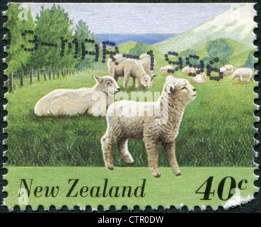 Neuseeland - ca. 1995: Eine Briefmarke gedruckt in Neuseeland, zeigt Tiere - Schafe, ca. 1995 Stockfoto