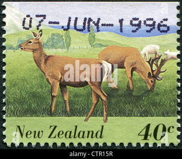 Neuseeland - ca. 1995: Eine Briefmarke gedruckt in Neuseeland, zeigt landwirtschaftliche Nutztiere - Hirsch, ca. 1995 Stockfoto