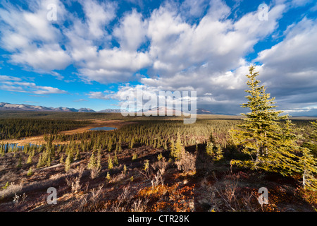 Herrliche Sicht auf den Ausläufern der Alaska Range von Denali Highway, Yunan Alaska, Herbst Stockfoto