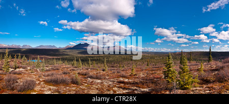 Herrliche Sicht auf den Ausläufern der Alaska Range von Denali Highway, Yunan Alaska, Herbst Stockfoto