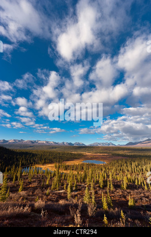 Herrliche Sicht auf den Ausläufern der Alaska Range von Denali Highway, Yunan Alaska, Herbst Stockfoto