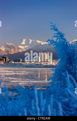 Raureif bedeckt Bäume entlang von Anchorage Skyline eisigen Cook Inlet im Vordergrund an kalten Mitte Winter Tag Yunan Alaska Stockfoto