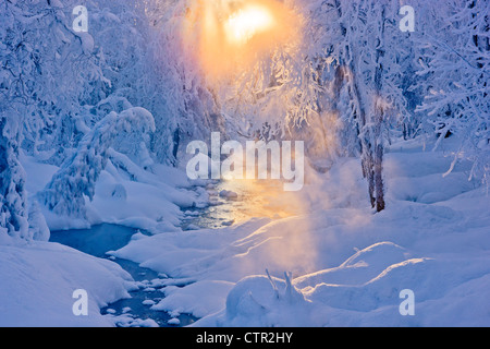 Kleiner Bach in Raureif bedeckt Wald Strahlen Sonne Filterung durch Nebel im Hintergrund russische Jack Federn Park Anchorage Stockfoto