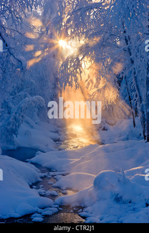 Kleiner Bach in Raureif bedeckt Wald Strahlen Sonne Filterung durch Nebel im Hintergrund russische Jack Federn Park Anchorage Stockfoto