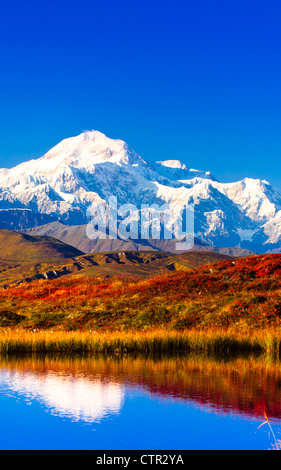 Blick auf Peters Hügel reflektiert in einem Teich mit Mt. McKinley im Hintergrund, Denali State Park, Yunan Alaska, Herbst Stockfoto