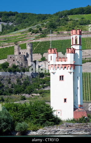 Historische Burg Ehrenfels und Mauseturm oder Mäuseturm bei Bingen am Rhein in Deutschland Stockfoto