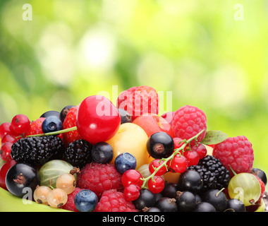 Vielzahl von Beeren auf Sommer Laub. Stockfoto