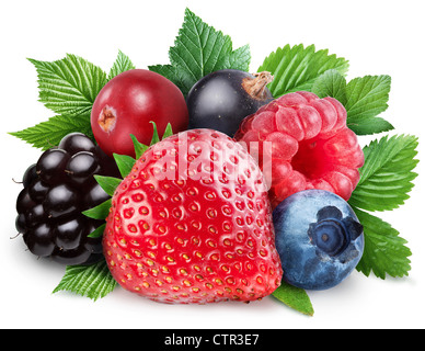 Sammlung von Waldbeeren mit Blättern auf einem weißen Hintergrund. Stockfoto