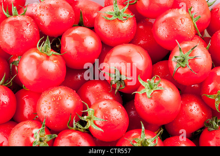 Vielzahl von reife Tomaten Stockfoto