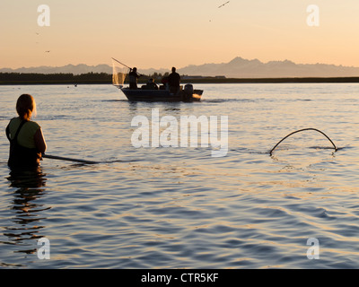 Dipnetting Sockeye rot Lachs bei Sonnenuntergang in der Nähe von Warren Ames Memorial Bridge Kenai River Kenai Peniinsula Yunan Alaska Sommer Stockfoto