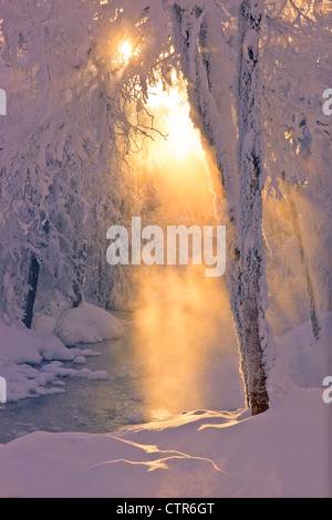 Kleiner Bach durch ein Raureif bedeckt Wald mit Sonne durch den Nebel, russische Jack Park, Anchorage, Alaska Stockfoto