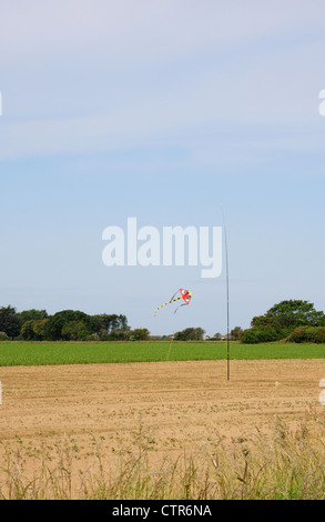 Vogel erschrecken Kite wird verhindert, dass Vögel Essen Samen. Stockfoto