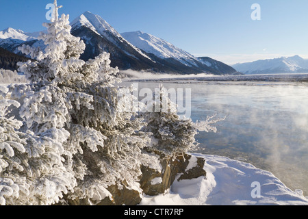 Ein hoarfrosted Winter-Szene neben den Seward Highway bei Meile 87,4 Turnagain Arm, Yunan Alaska, Winter Stockfoto