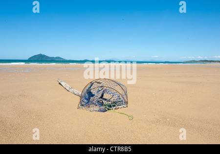 Wongaling Strand von Mission Beach an der Küste der Kasuar mit Dunk Island in Sicht und Treibholz am Strand bei Ebbe Stockfoto