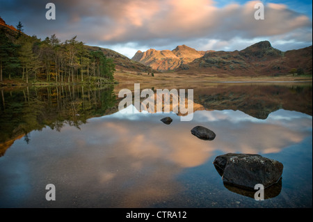 Langdale Pikes bei Sonnenaufgang von Blea Tarn, Lake District Stockfoto