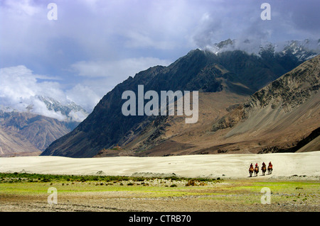 eine Gruppe von Camel Fahrern, die Durchquerung der Wüste in das Nubra Tal, Ladakh, Indien Stockfoto