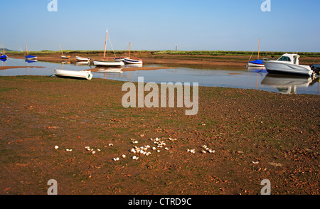 Herzmuschel Muscheln und Boote bei Ebbe am Burnham Overy Staithe, Norfolk, England, Vereinigtes Königreich. Stockfoto