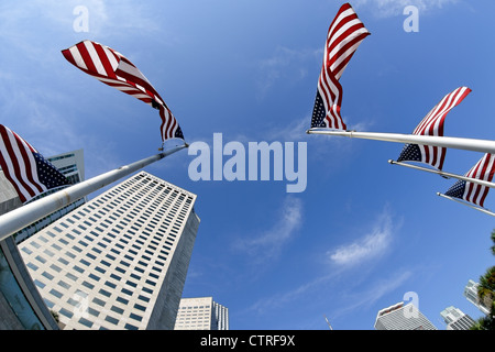 Amerikanische Flaggen, Inter-Continental Hotel, Chopin Plaza, Bayfront Park, Downtown, Miami, Florida, USA Stockfoto