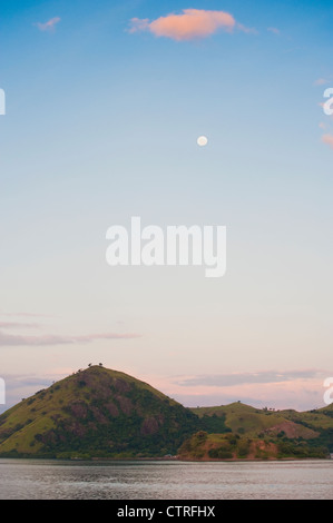 Mond über Komodo Insel. Wenn die Sonne aufgeht, der Mond scheint, Kopf in den Horizont auf der Insel Komodo, Indonesien. Stockfoto