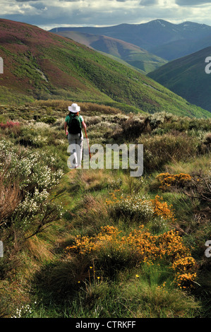 Spanien, Jakobsweg: Frau zu Fuß auf natürlichen Weg mit Blick auf die Montes de Leon Stockfoto