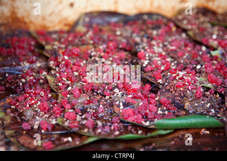 Betelnüsse / Areca Nuss eingewickelt in Betel Blätter zum Verzehr bereit am Markt in Bundi, Rajasthan, Indien Stockfoto