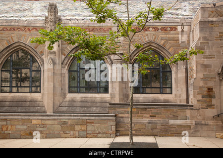 Sterling Memorial Library an der Yale University New Haven Stockfoto