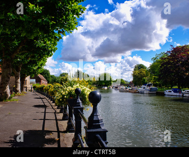 Die Themse in Abingdon-on-Thames, Oxfordshire, UK. Stockfoto